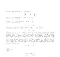 고소장 (교통사고특례법위반중앙선침범) 고소장 (교통사고특례법위반중앙선침범)